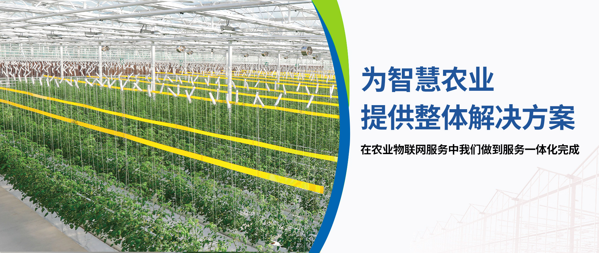 山东芯云谷物联科技有限公司