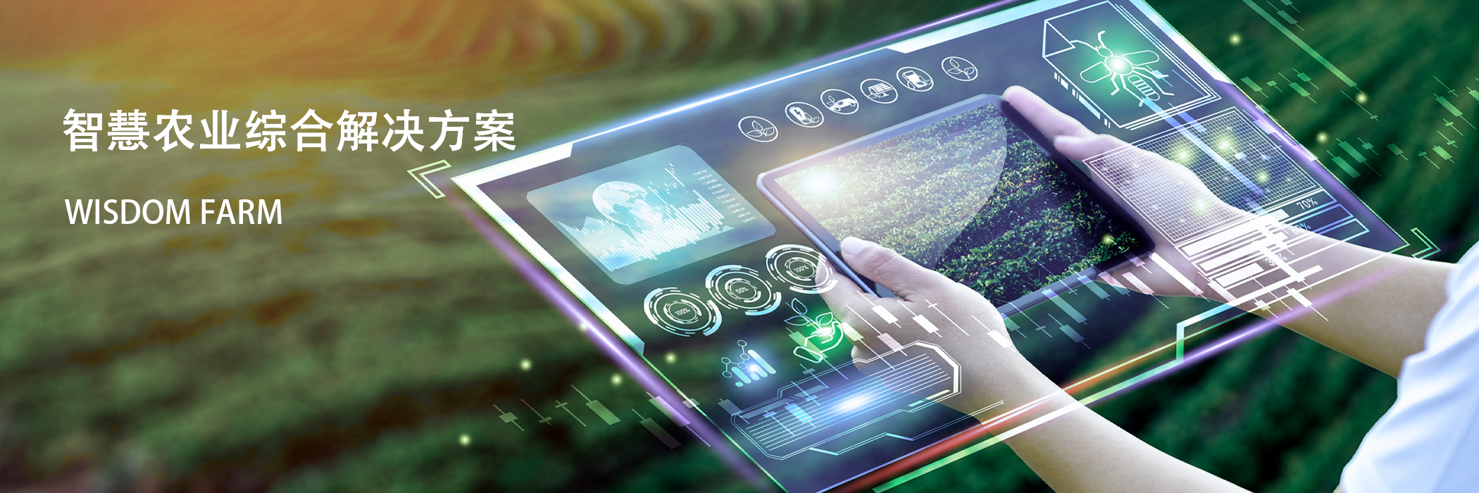 AI&ldquo;爆改&rdquo;农业：当黑科技遇上黄土，饭碗端得更稳了