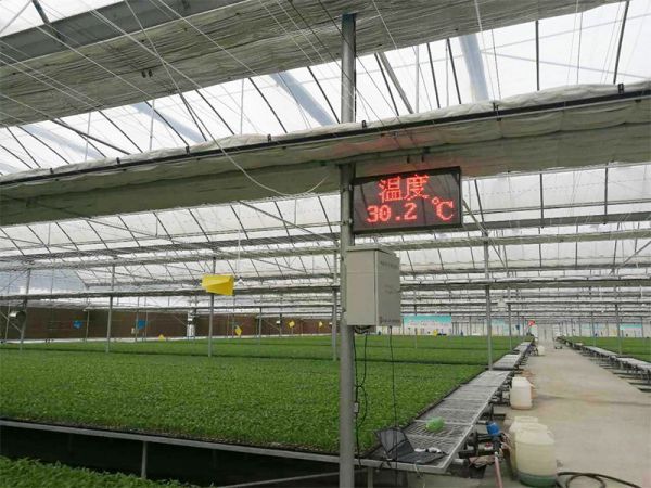日照物联网农业项目