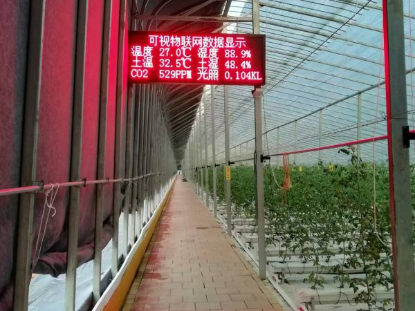 农业物联网项目