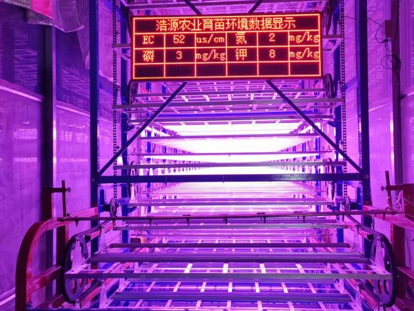 云南保山隆阳区大庄多层苗床物联网水肥一体化项目